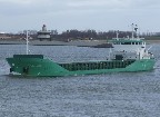 Arklow Rose