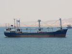 Golden Arrow