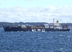 MSC Maria