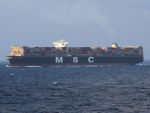 MSC Melatilde