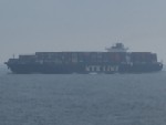 NYK Vesta