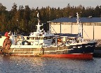 Sonnskär