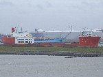 Zhen Hua 15