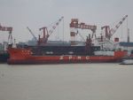 Zhen Hua 36